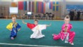 /album/a9th-tallin-open-wushu-championships/img-7553-jpg/